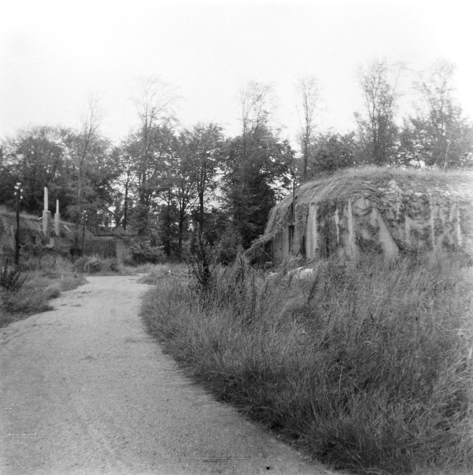 Serie Landmijnen ruimen bij Hoek van Holland, Bestanddeelnr 900-6446