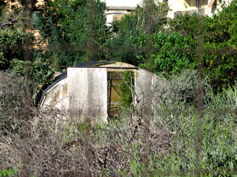 Serra - Campo Sperimentale della Stazione Sperimentale Industrie Essenze e Derivati Agrumi (SSEA) - Reggio Calabria, Italy - 7 Oct. 2009 - (1)