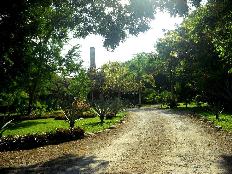 Santa Cruz Palomeque, Yucatán (03)