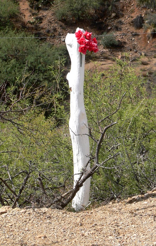 Santa Cruz de Globe (Arizona) post 1