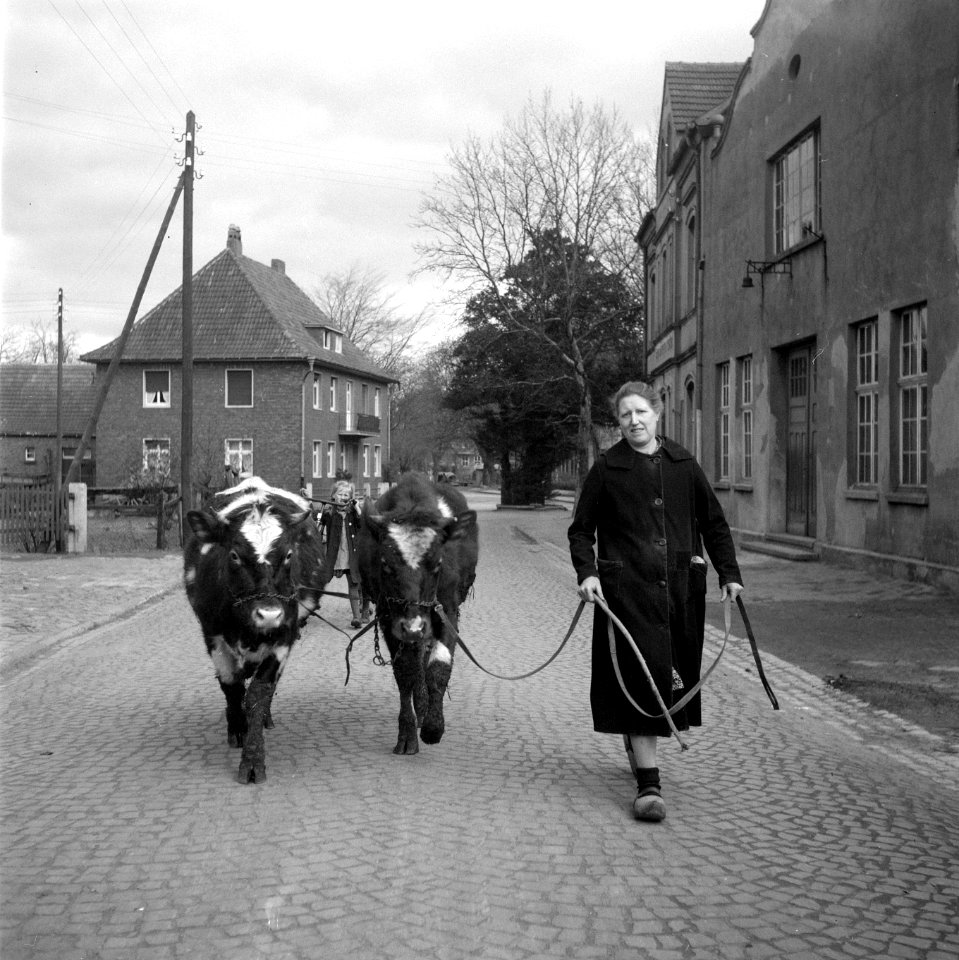 Serie grenscorrectie Duitsland. Vrouw met koeien, Bestanddeelnr 902-6966
