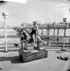 Serie over nieuwe Pier in Scheveningen Elektrisch hobbelpaard, Bestanddeelnr 912-5025
