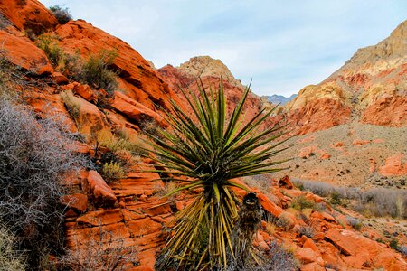 National park usa photo