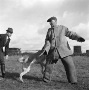 Serie over het opleiden van politiehonden, Bestanddeelnr 900-9616