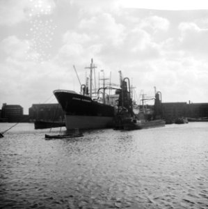Serie over de Amsterdamse haven, Bestanddeelnr 912-1520 photo