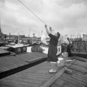 Serie over de Amsterdamse haven, Bestanddeelnr 912-1534 photo