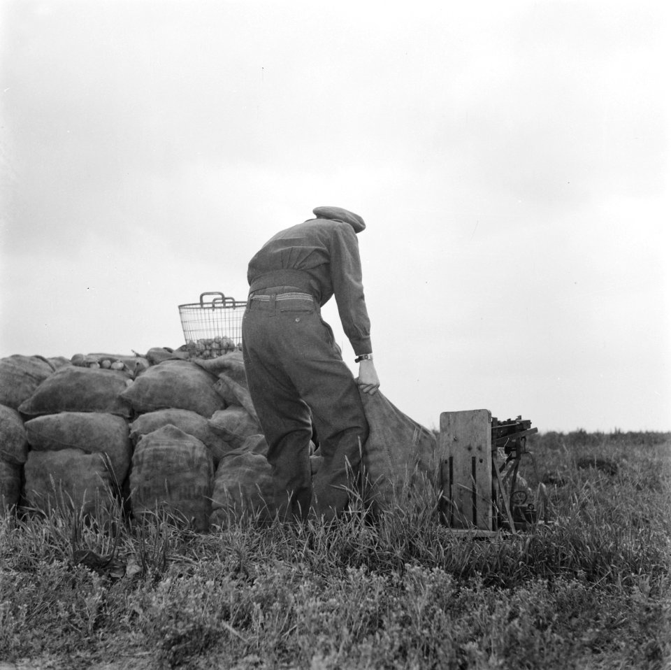 Serie over de hulp die de boeren van de Canadese troepen kregen Oogsten van aar, Bestanddeelnr 900-5520