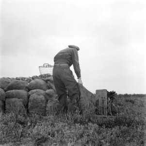 Serie over de hulp die de boeren van de Canadese troepen kregen Oogsten van aar, Bestanddeelnr 900-5520