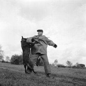 Serie over het opleiden van politiehonden, Bestanddeelnr 900-9619