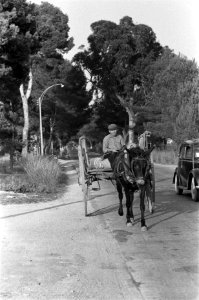 Serie over Spanje, Bestanddeelnr 911-6491