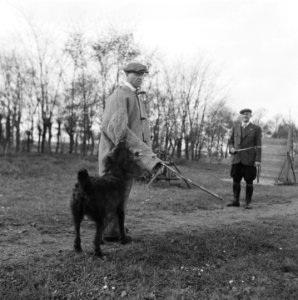 Serie over het opleiden van politiehonden, Bestanddeelnr 900-9622