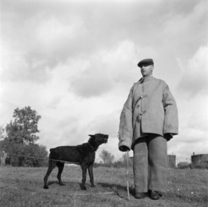 Serie over het opleiden van politiehonden, Bestanddeelnr 900-9620