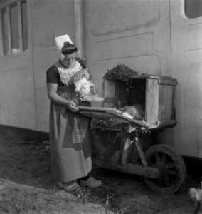Serie Walcheren boer in Noordoostpolder Markenesse, Bestanddeelnr 903-6405