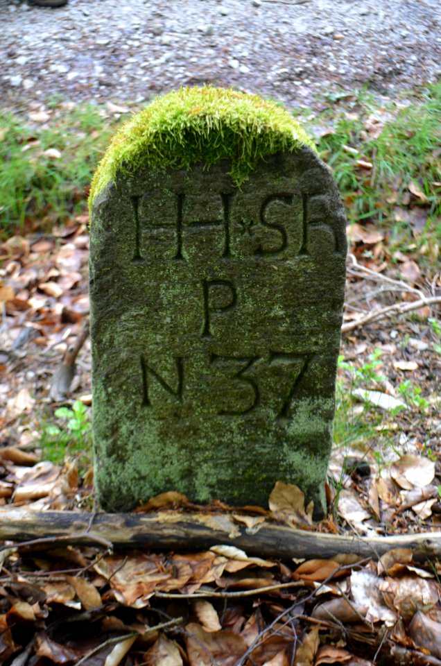 Seulberger Mark, Grenzstein HH K 39, HH SR P 37, Petterweiler Seite