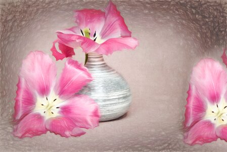 Pink petals vase photo