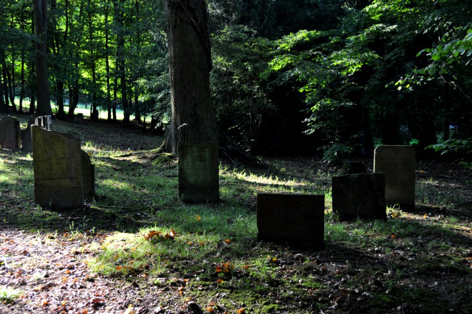 Seulberg, Jüdischer Friedhof, Gräber 5