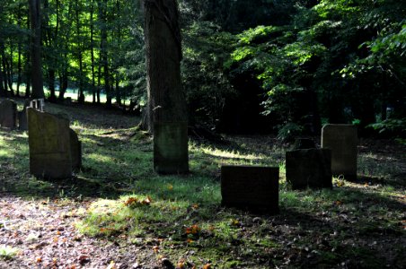 Seulberg, Jüdischer Friedhof, Gräber 5