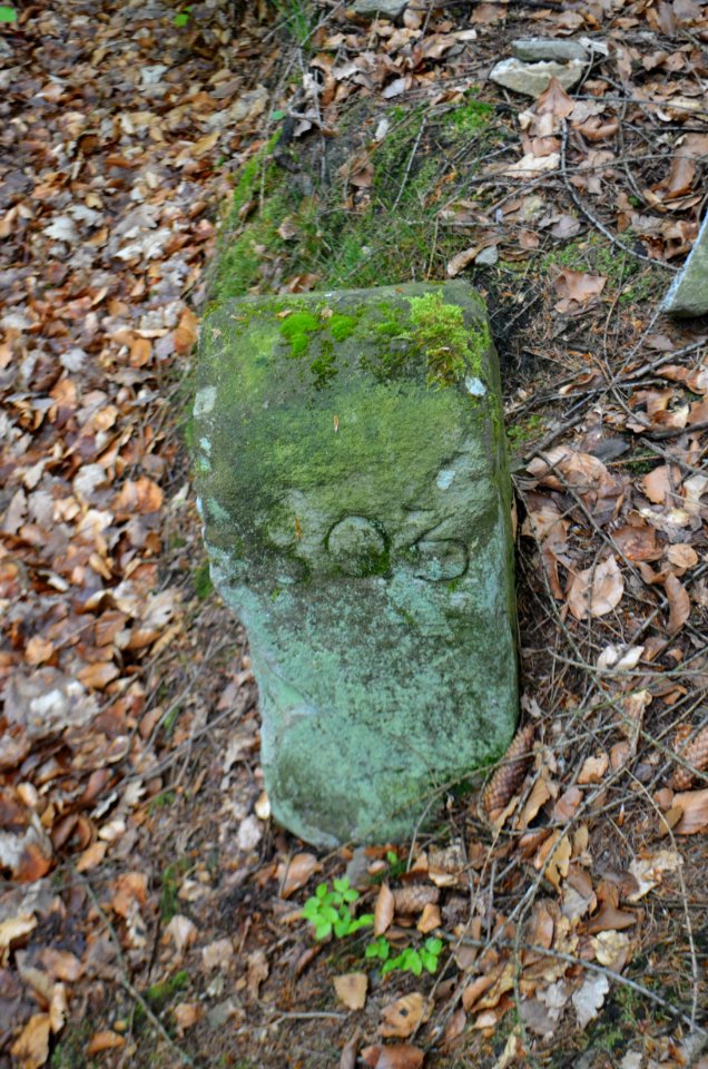 Seulberger Mark, Grenzstein GI OE, HH SR P 58, Seite