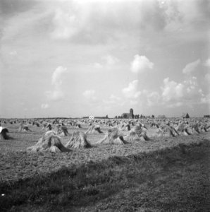 Serie Wieringermeer, Bestanddeelnr 901-9016