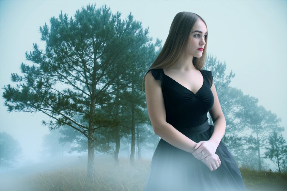Gothic gothic model dark