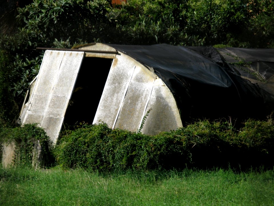 Serra - Campo Sperimentale della Stazione Sperimentale Industrie Essenze e Derivati Agrumi (SSEA) - Reggio Calabria, Italy - 7 Oct. 2009