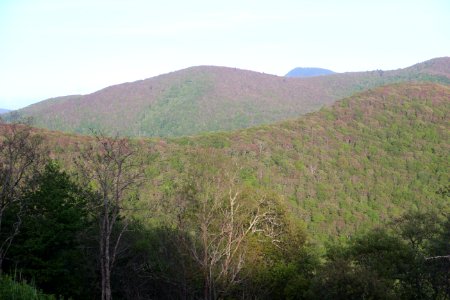 Setzer Mountain viewed from the Plott Balsams overlook, May 2017