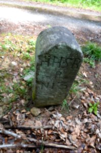 Seulberger Mark, Grenzstein F NE 48, HH SR P 13, Petterweiler Seite