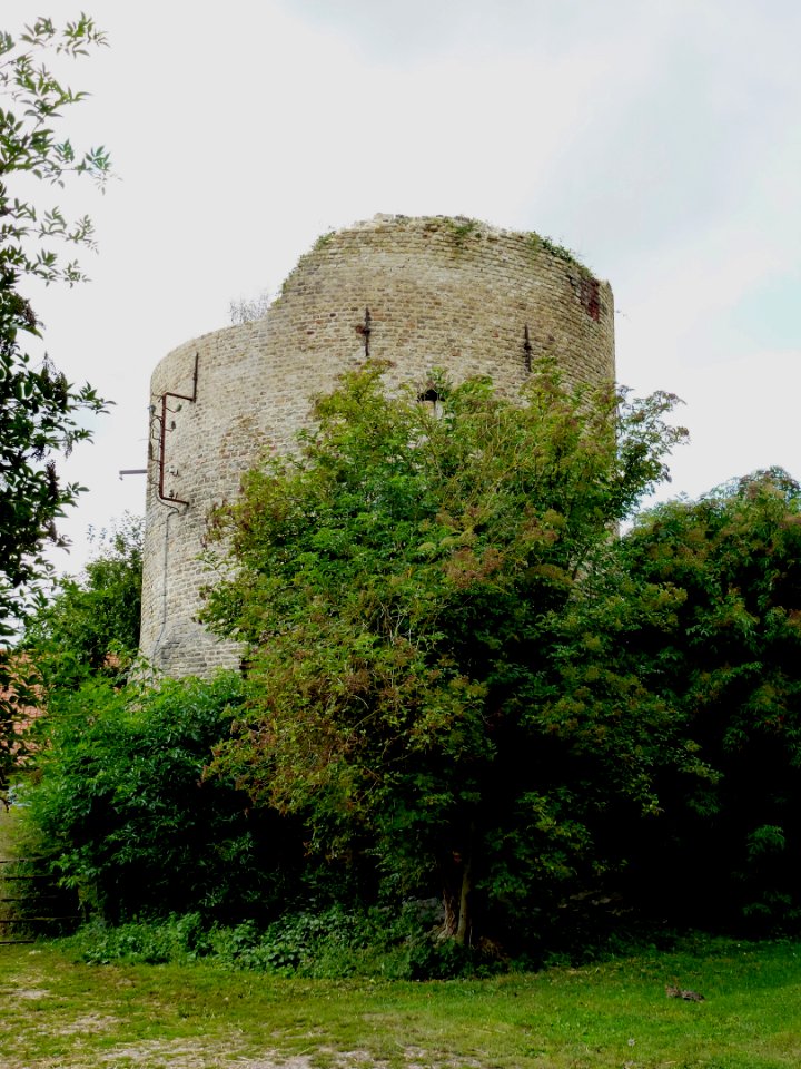 Serques (Pas-de-Calais) ruïne d'un moulin à vent