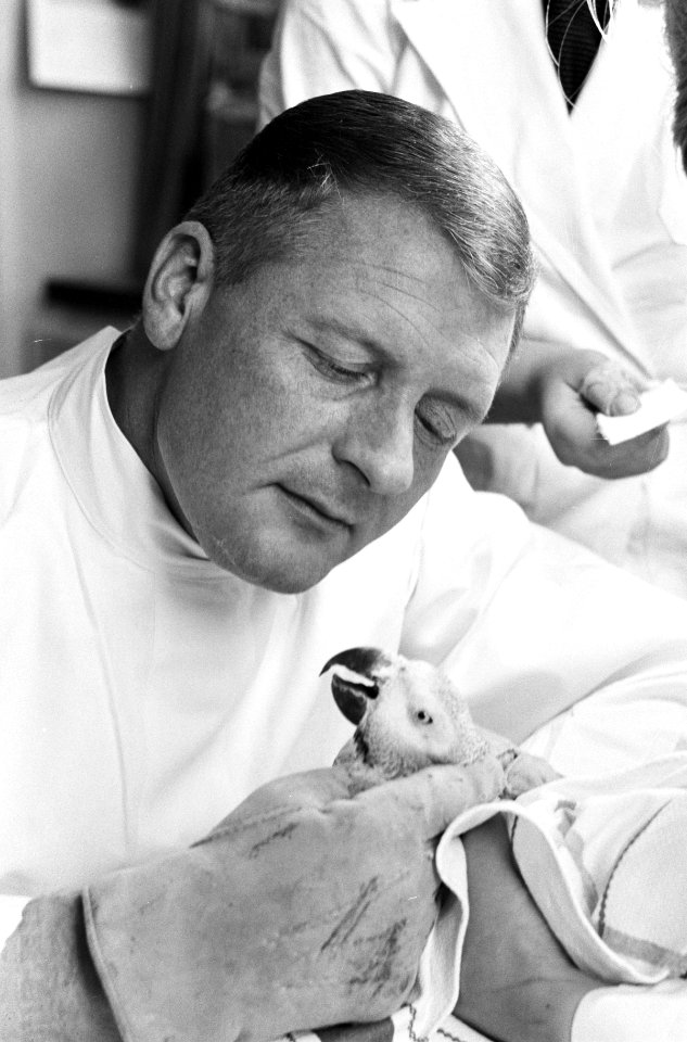 Serie van dierenarts dr. Westerman, Bestanddeelnr 913-6094