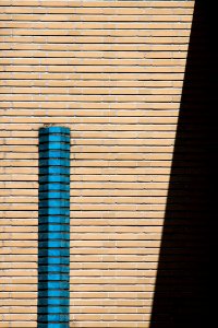 Shadow (71334083)