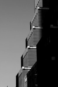 Shadow And Light (36980138)