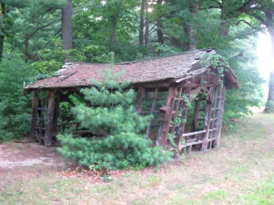 Shade Swamp Shelter