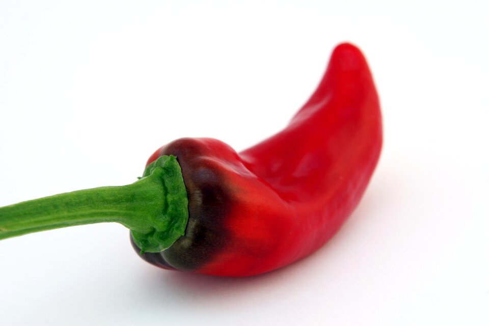Catering cellulite chilli
