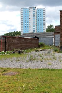 Shakespeare Flats 2019-07-18 (8)