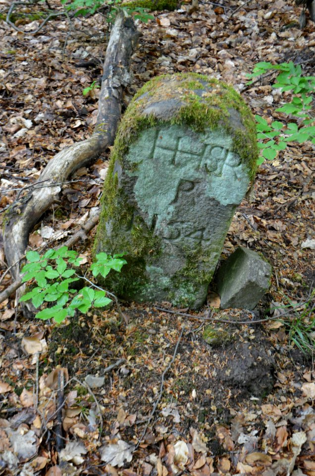 Seulberger Mark, Grenzstein GI OE 35, HH SR P 54, Petterweiler Seite