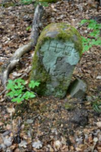 Seulberger Mark, Grenzstein GI OE 35, HH SR P 54, Petterweiler Seite