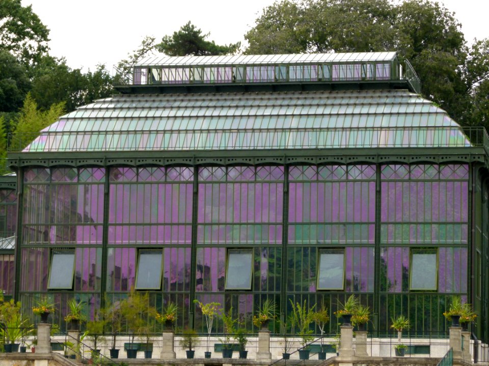 Serre du jardin des plantes