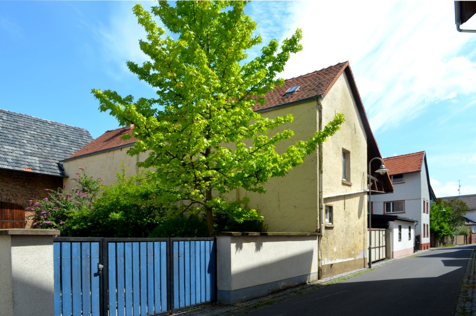 Seulberg, Grabenstraße 1, Nebengebäude
