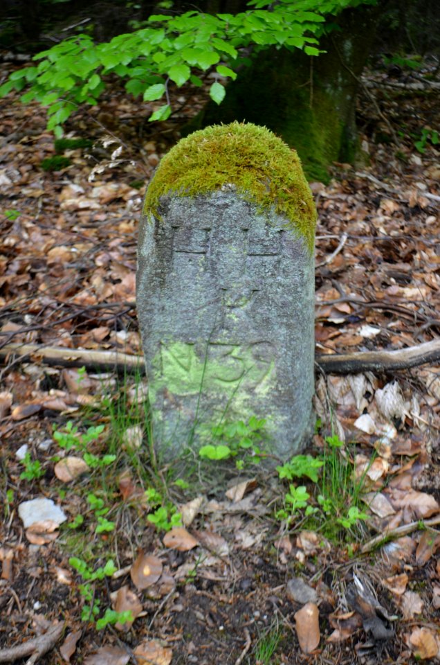 Seulberger Mark, Grenzstein HH K 39, HH SR P 37, Köpperner Seite