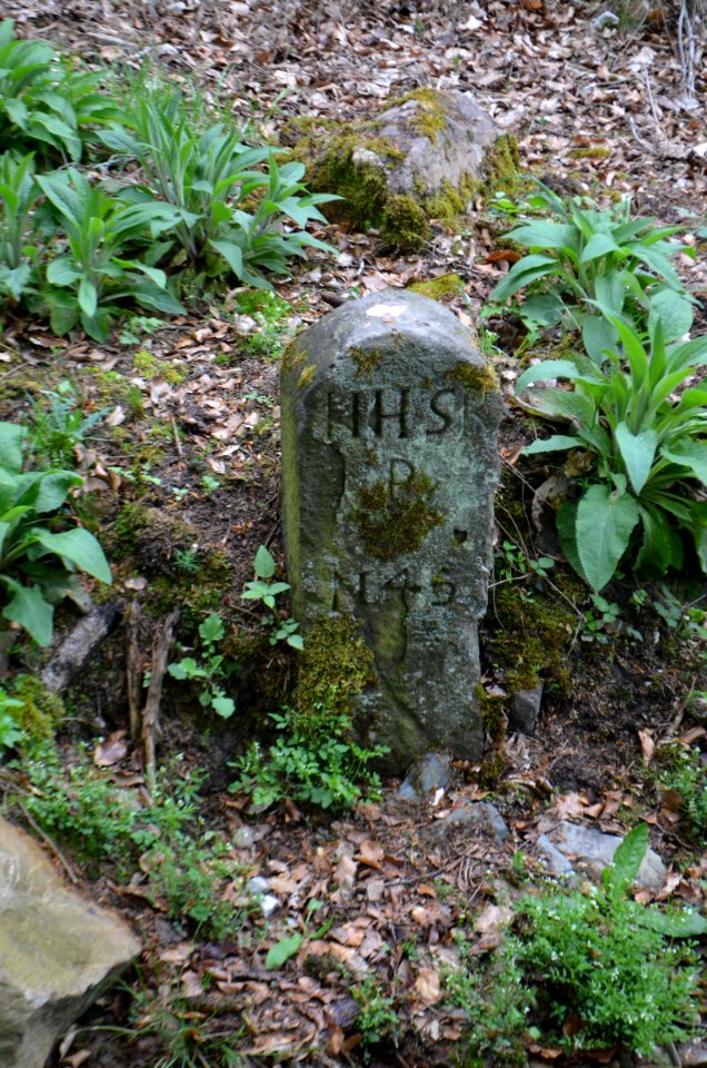Seulberger Mark, Grenzstein HH SR P 45, HH F, Petterweiler Seite