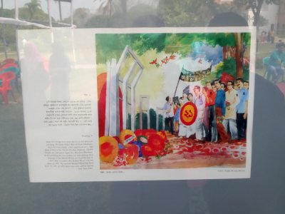 Set of Ruhan - 16