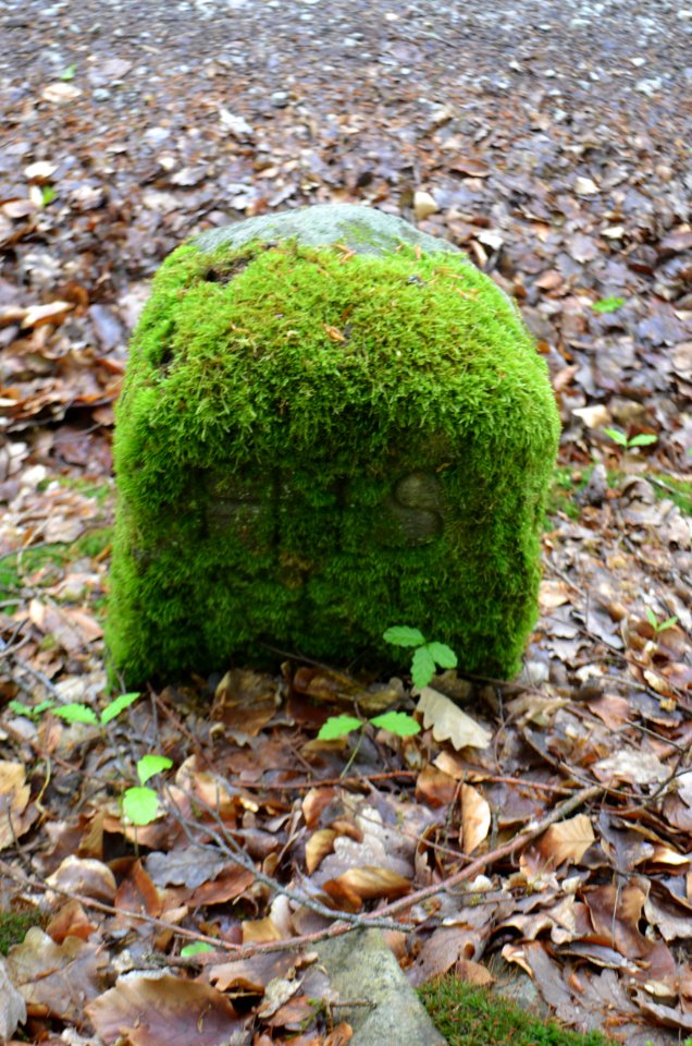 Seulberger Mark, Grenzstein HH K 34, Petterweiler Seite