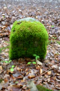 Seulberger Mark, Grenzstein HH K 34, Petterweiler Seite