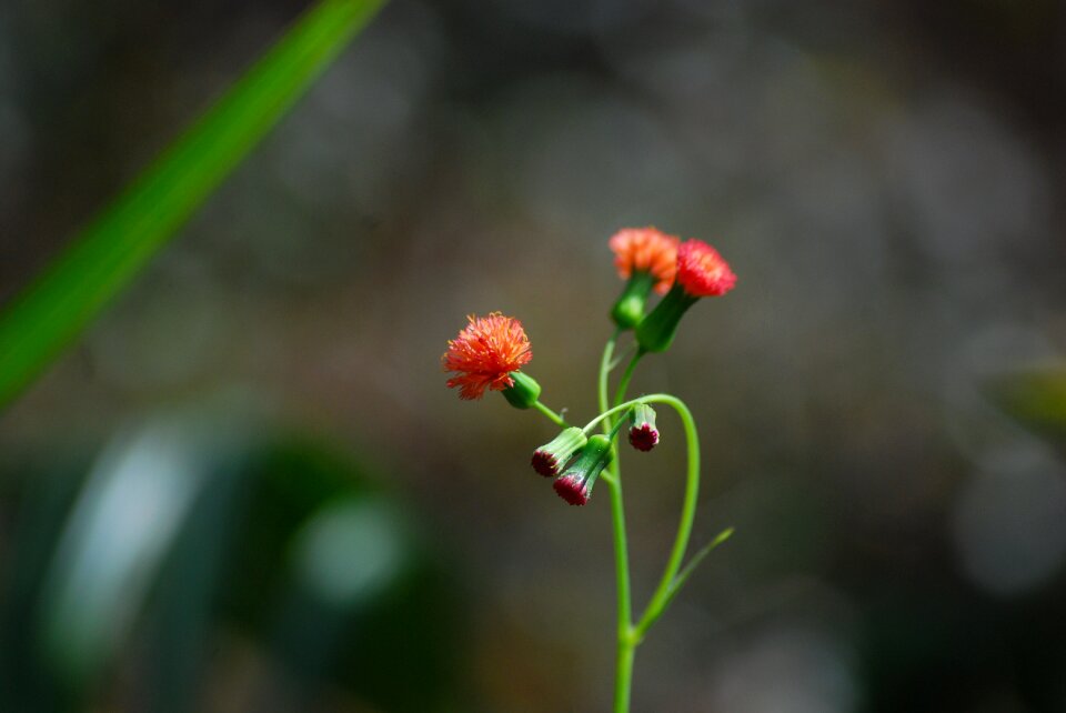 Calm tranquil zen