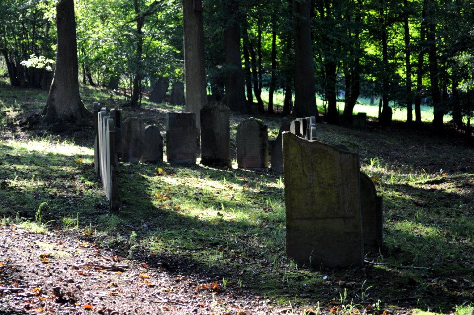 Seulberg, Jüdischer Friedhof, Gräber 2