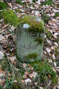 Seulberger Mark, Grenzstein GI OE 32, HH SR P 56, Petterweiler Seite