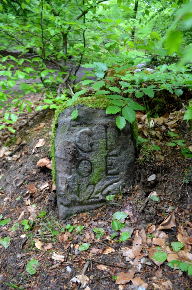 Seulberger Mark, Grenzstein GI OE 26, HH SR P, Obererlenbacher Seite