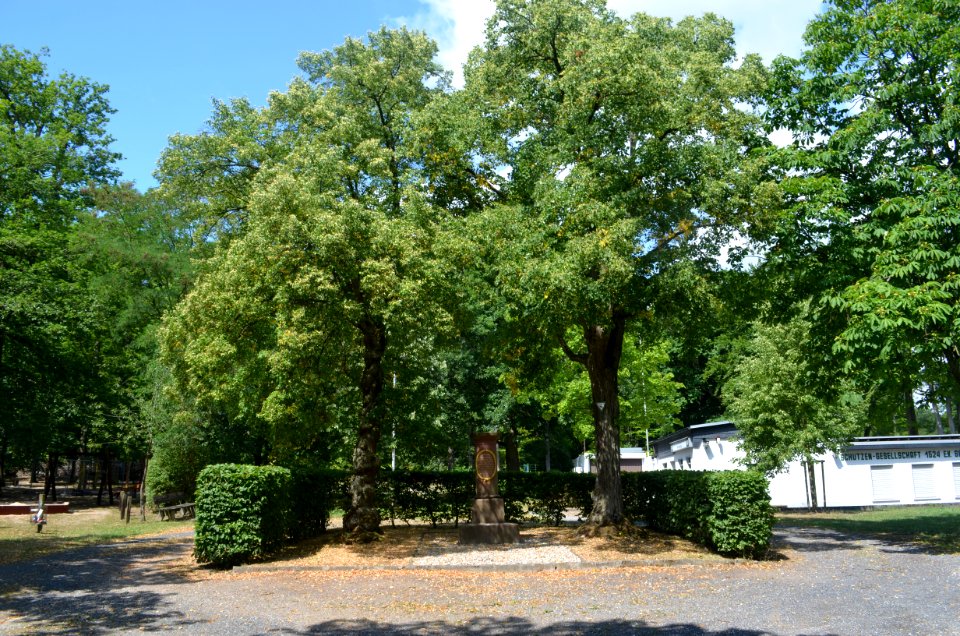Seulberg, Hardtwaldallee 28, Gedenksäule, Totale
