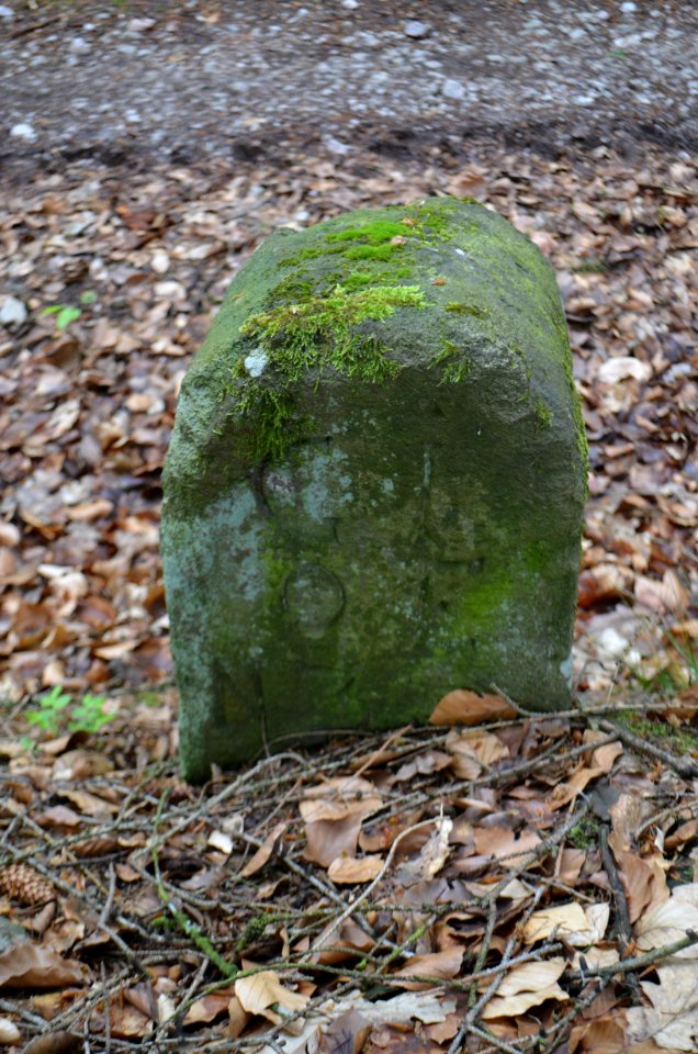 Seulberger Mark, Grenzstein GI OE, HH SR P 58, Obererlenbacher Seite