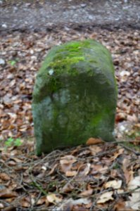 Seulberger Mark, Grenzstein GI OE, HH SR P 58, Obererlenbacher Seite